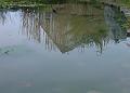 2009-0125_1335_Pond_7,2C